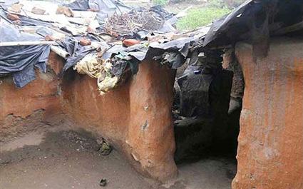 طفل هندي يقتات من حليب الكلاب لشدة الجوع